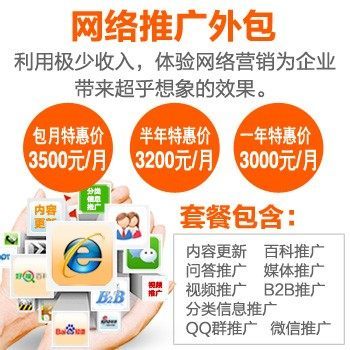 網(wǎng)絡推廣外包服務助力企業(yè)騰飛 從策略到服務器租賃的一站式解決方案